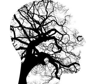 Дзен Psychology and self-analysis статистика
