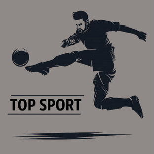 Дзен Top Sport статистика