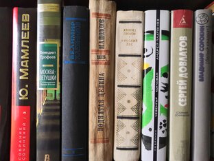 Дзен BooK-по_читатель статистика