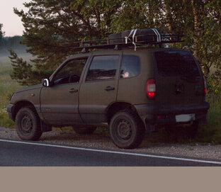 Дзен Дорога домой статистика