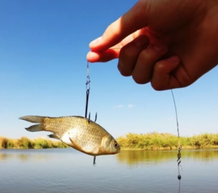 Логотип канала На крючке 🎣