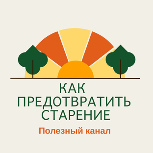 Статистика Дзен Как предотвратить старение