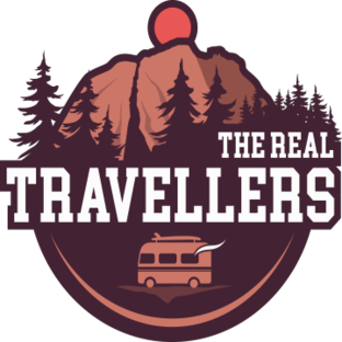 Статистика Дзен The Real Travellers