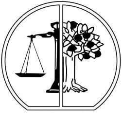 Статистика Дзен Коллегия адвокатов Династия