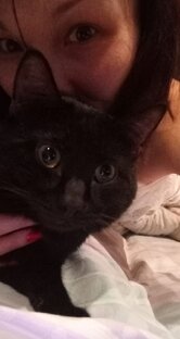 Дзен Если чё, я Баха статистика