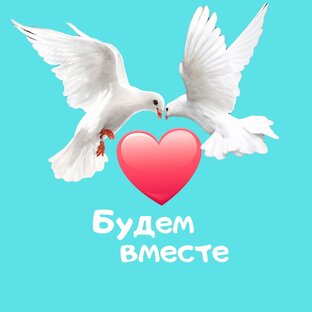 Дзен Будем вместе статистика