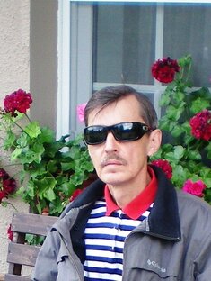 Статистика Дзен ALEX DEFENDER
