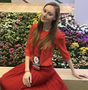 Статистика Дзен Наталия Волкова 