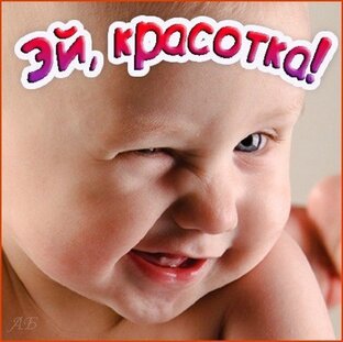 Дзен Жизнь Молодая 21 статистика