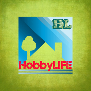 Дзен HobbyLIFE статистика