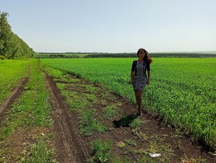 Статистика Дзен Нетипичная деревня