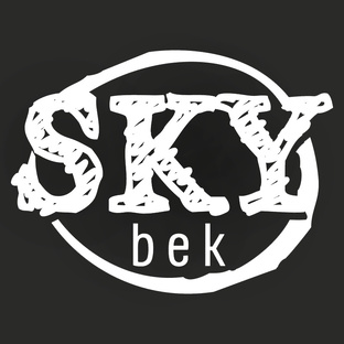Статистика Дзен SkyBek 🛠 Эксперименты Лайфхаки