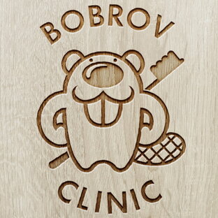Статистика Дзен bobrovclinic.ru