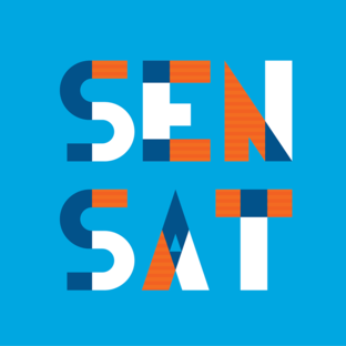 Статистика Дзен SenSat.ru
