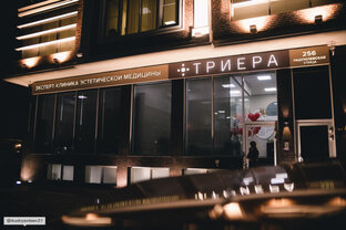 Статистика Дзен Клиника Триера