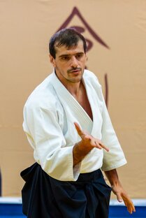Статистика Дзен В поисках айкидо.