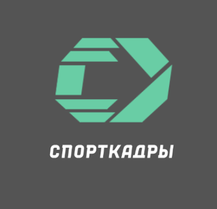 Дзен Спорткадры статистика