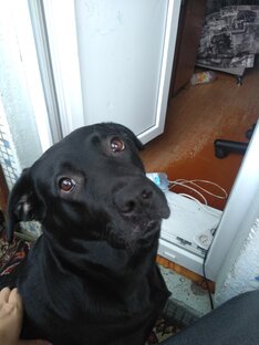 Дзен Мир по простому. статистика