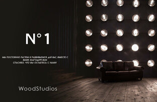 Статистика Дзен Фотостудия WoodStudios