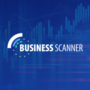 Статистика Дзен Business Scanner