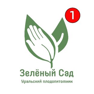 Статистика Дзен Уральский плодопитомник "Зеленый сад"