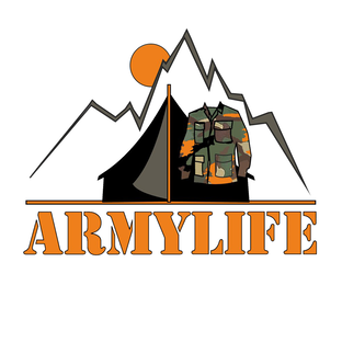 Дзен Armylife статистика