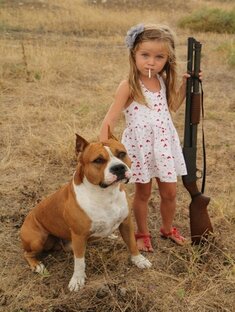 Статистика Дзен girlguns
