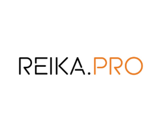 Статистика Дзен REIKA.PRO