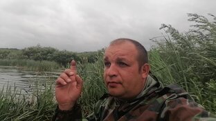 Дзен Дом, гараж, рыбалка. статистика