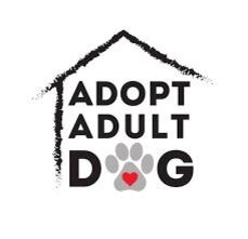 Статистика Дзен Adopt Adult Dog