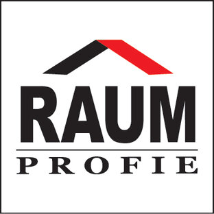 Статистика Дзен RAUM PROFIE