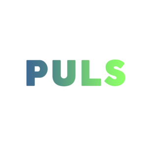 Дзен PULS | Всё для загородных домов статистика