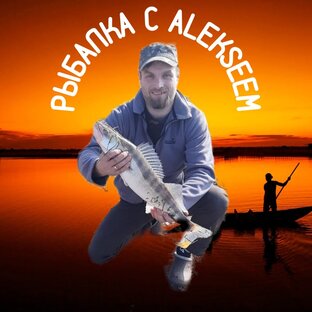 Статистика Дзен Свой Омут