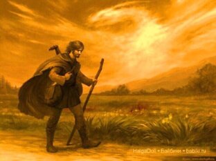 Дзен Наталья Лебединская статистика