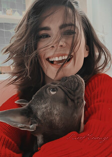 Дзен Sweet Revenge статистика