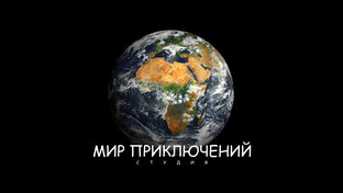 Статистика Дзен Студия Мир Приключений