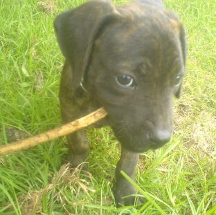 Дзен Таисия Кузнецова статистика