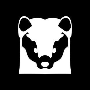 Статистика Дзен WHITE SIBERIA Электротранспорт