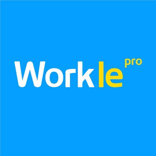 Дзен Workle Pro - официальная работа в интернете статистика