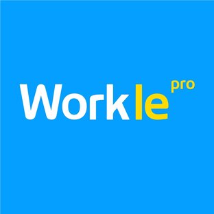 Дзен Workle Pro  статистика