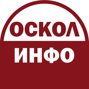Статистика Дзен ОСКОЛ ИНФО