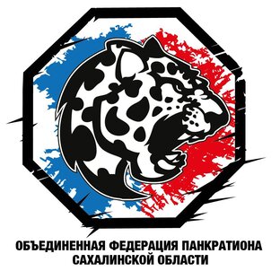 Статистика Дзен СК "Россия" (ММА, Панкратион) Сахалин 