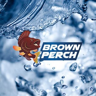 Статистика Дзен BROWN PERCH