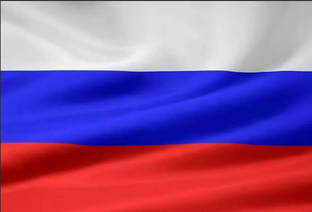 Дзен Илья Васильев статистика