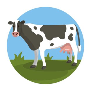 Статистика Дзен MilkDom