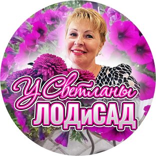 Статистика Дзен у Светланы ЛОДиСАД