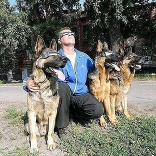 Статистика Дзен  Владислав Бутин MagistrDog.
