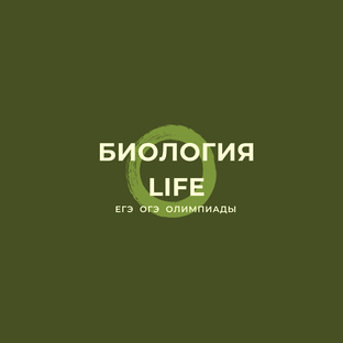 Статистика Дзен Биология LIFE