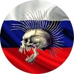 Статистика Дзен bionet