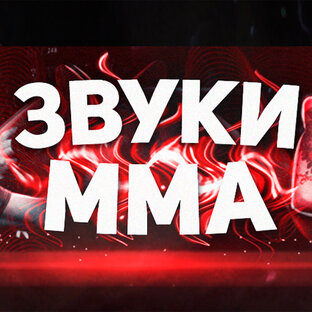 Статистика Дзен ЗВУКИ ММА